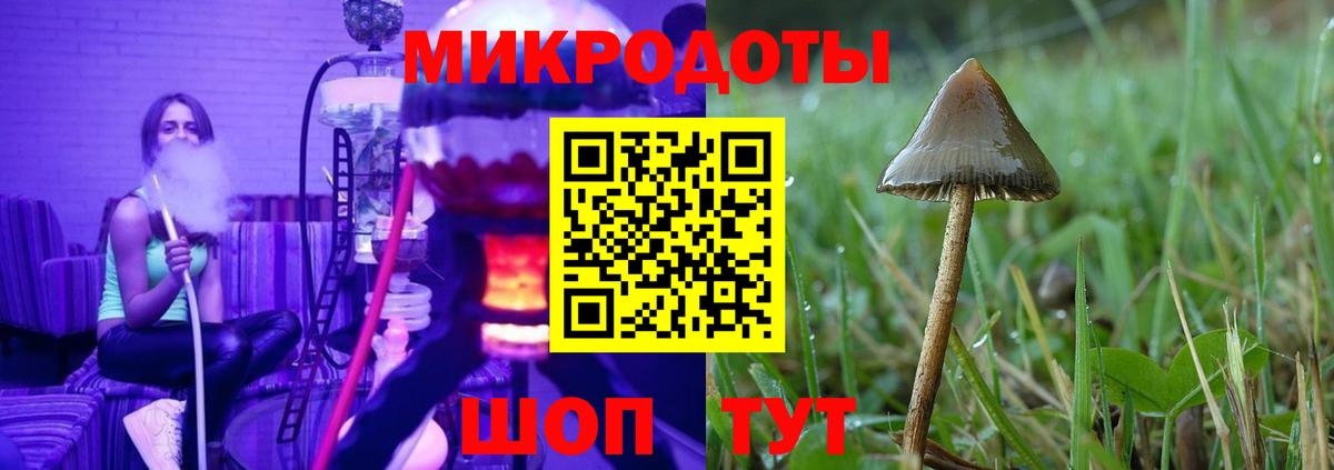 Галлюциногенные грибы GOLDEN TEACHER Надым